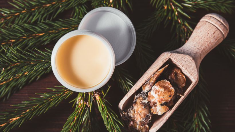 Smrekova smola je naravna podpora zdravju, ki jo poznamo že stoletja